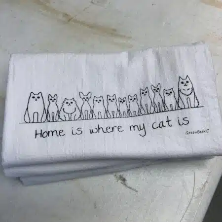 Cat home FLAWED