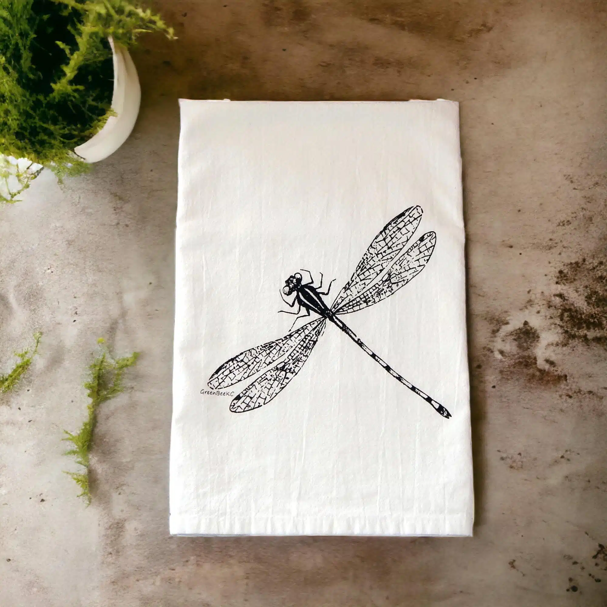 https://g2v8u2c8.rocketcdn.me/wp-content/uploads/2023/09/black-dragonfly-lay-flat-tan-background-PhotoRoom.jpg.webp