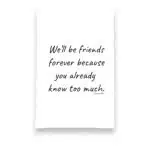 we'll be friends forever because you already know too much kitchen tea towel